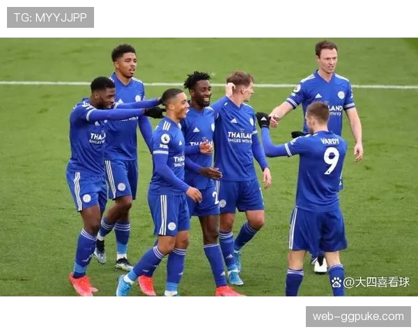 英超赛季总结:升班马莱斯特城演绎黑马奇迹,获联赛第八 英超赛季总结:升班马莱斯特城演绎黑马奇迹,获联赛第八